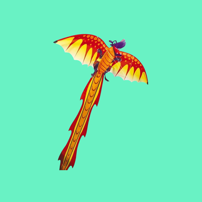 3D drager
